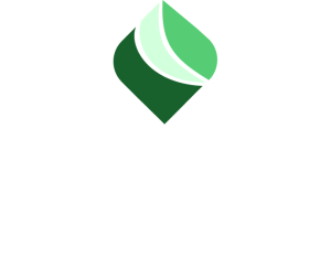 Vision Digitale Energies